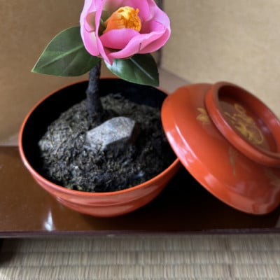 【冬 わびすけつばき】四季を彩る創作草もの盆栽(工芸品)〜工房椿【配送不可地域：離島・北海道・沖縄県】【1599117】