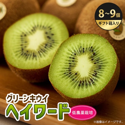5882　掛川産グリーンキウイ「ヘイワード」8〜9個(ギフト箱入り)【配送不可地域：離島・北海道・沖縄県・四国・九州】【1603135】