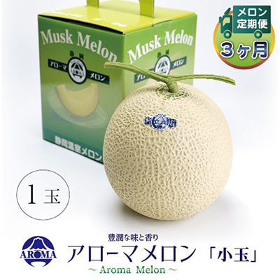 【毎月定期便】アローマメロン(小玉) 1玉 全3回【配送不可地域：離島・北海道・沖縄県】【4013007】