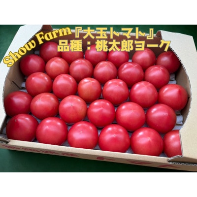 Show Farmの『大玉トマト』(品種:桃太郎トマト)計 約3.5〜4kg【配送不可地域：離島・沖縄県】【1721445】