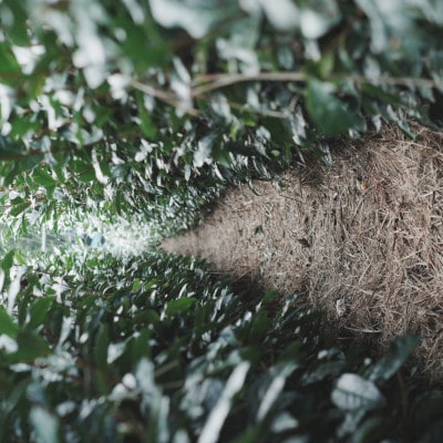 世界農業遺産に認められた茶葉を味わう最高級ボトリングティー | Apoptosis N【配送不可地域：離島・北海道・沖縄県・四国・九州】【1619137】