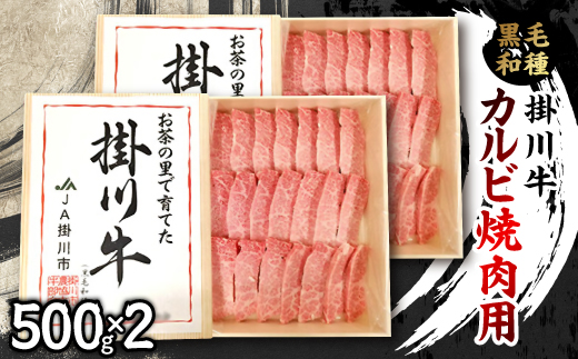 掛川牛(黒毛和種)カルビ焼肉用 500g×2(冷凍)【配送不可地域：離島・北海道・沖縄県・四国・九州】【1670602】