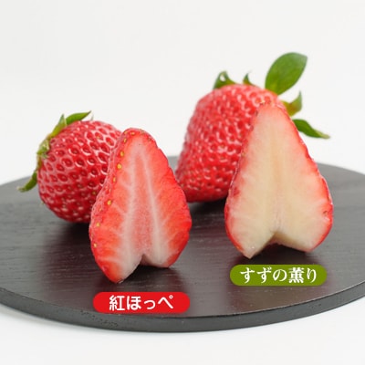静岡県掛川市産　ミズノ農園の完熟いちご「紅ほっぺ」「すずの薫り」2種各2パック食べ比べセット【配送不可地域：離島・北海道・沖縄県・東北・中国・四国・九州】【1490920】