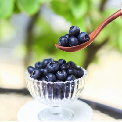 2026幎çºéãããŠã¹æ œå¹ãå£ç¯éå®ã®åœç£ãçãã«ãŒããªãŒã倪éœã®æµã¿ãæ²¢å±±æµŽã³æ°é®®ã§å€§ç²ããé
éäžå¯å°åïŒé¢å³¶ã»åæµ·éã»æ²çžçã»ååœã»ä¹å·ãã1374926ã