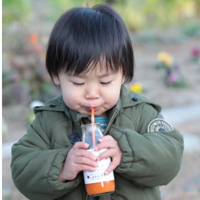 ãããããã³ãžã³ãžã¥ãŒã¹(ææ©ãã³ãžã³ã»ããã¯ã¹ãžã¥ãŒã¹)180mlÃ30æ¬ãé
éäžå¯å°åïŒé¢å³¶ã»æ²çžçãã1666376ã