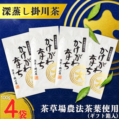 深蒸し掛川茶「かけがわ育ちW」100g×4袋セット【配送不可地域：離島・沖縄県】【1091968】