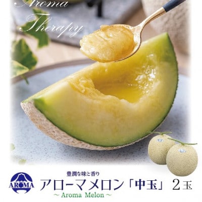【通年出荷】アローマメロン 白等級(中玉) 2玉入【配送不可地域：離島・北海道・沖縄県】【1170109】