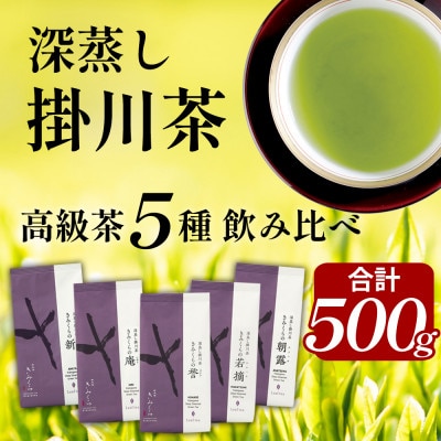 高級茶5種 飲み比べセット 計500g  深蒸し掛川茶 日本茶きみくら【5899】【配送不可地域：離島・沖縄県】【1658772】