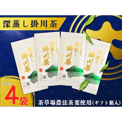 茶草場農法100%深蒸し掛川茶W　100g×4袋(ギフト箱入)【配送不可地域：離島・沖縄県】【1652724】