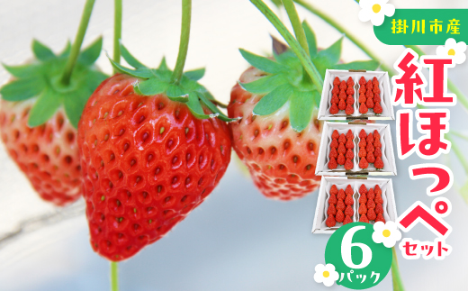 紅ほっぺセット(6パック)【配送不可地域：離島・北海道・沖縄県・四国・九州】【1676924】