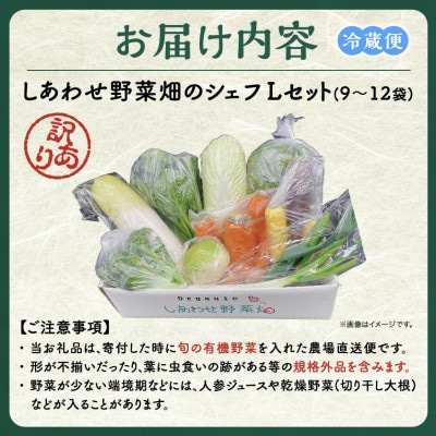 【毎月定期便】しあわせ野菜畑のシェフLセット(訳あり規格外の有機野菜を一部使用)全3回【配送不可地域：離島・北海道・沖縄県・四国・九州】【4066424】
