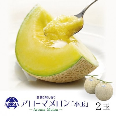 【通年出荷】アローマメロン(小玉) 2玉入【配送不可地域：離島・北海道・沖縄県】【1170105】