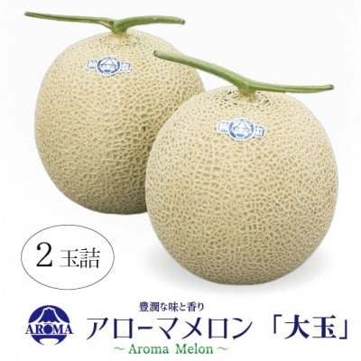 【通年出荷】アローマメロン 白等級(大玉) 2玉入【配送不可地域：離島・北海道・沖縄県】【1170111】