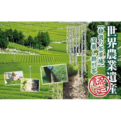 全国初の快挙!日本三大品評会 農林水産大臣賞受賞 三冠茶園 深蒸し掛川茶 200g×3袋【配送不可地域：離島・沖縄県】【1749864】