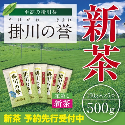 【新茶予約・令和8年度産】高級深蒸し掛川茶「掛川の誉」100g×5本セット　5月上旬頃〜発送【配送不可地域：離島・沖縄県】【1721707】