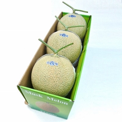 【一年中食べられる!】クラウンメロン (山等級) 3玉 静岡県産 高級 マスクメロン【配送不可地域：離島・北海道・沖縄県】【1104738】