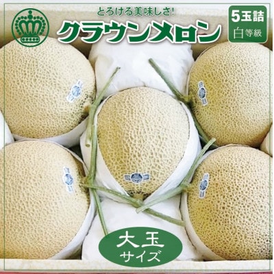 【通年出荷】クラウンメロン(白等級)大玉　5玉詰【配送不可地域：離島・北海道・沖縄県】【1104740】