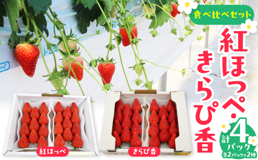 紅ほっぺ・きらぴ香食べ比べセット(各2パック　計4パック)【配送不可地域：離島・北海道・沖縄県・四国・九州】【1676911】