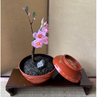 【春 桜】四季を彩る創作草もの盆栽(工芸品)〜工房 椿【配送不可地域：離島・北海道・沖縄県】【1598557】