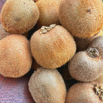 農園直送!訳アリキウイフルーツ2kg〜2.4kg(24個〜30個)【配送不可地域：離島・北海道・沖縄県・四国・九州】【1705165】