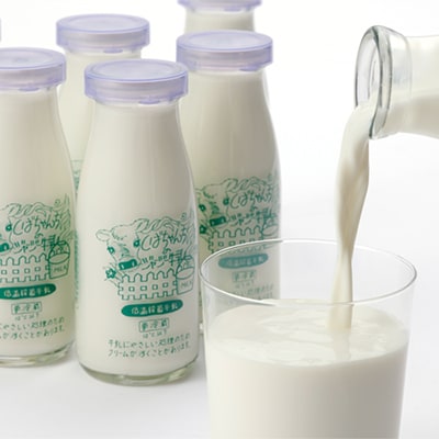 ジャージー牛乳　180ml×10本セット　柴田牧場　【配送不可地域：離島・北海道・沖縄県・東北・中国・四国・九州】【1136543】