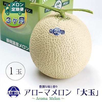 【毎月定期便】アローマメロン白等級(大玉) 1玉 全3回【配送不可地域：離島・北海道・沖縄県】【4013013】