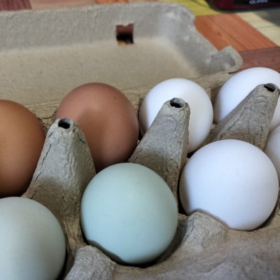 みんなのたまご　赤玉、白玉、青玉、三色の卵の詰め合わせ【配送不可地域：離島・沖縄県】【1670732】