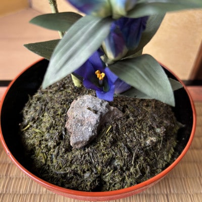 【秋りんどう】四季を彩る創作草もの盆栽(工芸品)〜工房椿【配送不可地域：離島・北海道・沖縄県】【1599108】