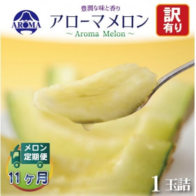 【毎月定期便】【訳あり】アローマメロン 1玉　全11回【配送不可地域：離島・北海道・沖縄県】【4071995】