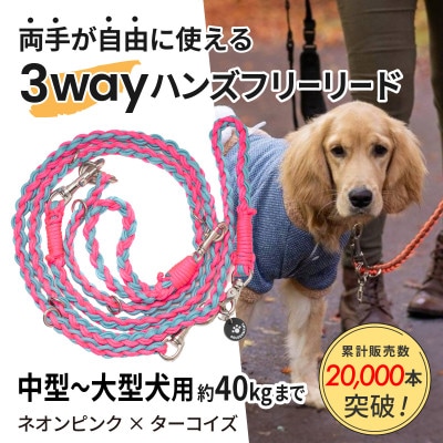 ãç¬çšã3WAYãã³ãºããªãŒãªãŒã(äžåã倧åç¬çš)ããªã³ãã³ã¯Ãã¿ãŒã³ã€ãºããŽãŒã«ãã³ããããé
éäžå¯å°åïŒé¢å³¶ã»æ²çžçãã1743317ã