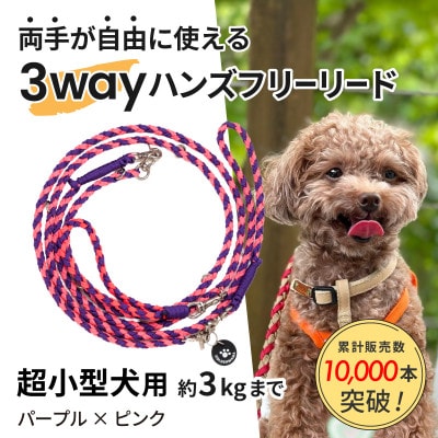 【犬用リード】3WAYハンズフリーリード(超小型犬用)パープル×ピンク【ゴールデンママ】【配送不可地域：離島・沖縄県】【1663355】