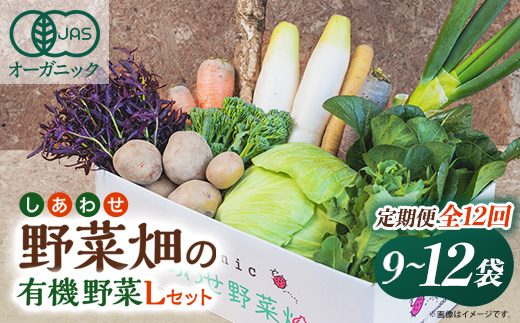【毎月定期便】しあわせ野菜畑の有機野菜　Lセット　(安心の有機JAS認証　オーガニック野菜)全12回【配送不可地域：離島・北海道・沖縄県・四国・九州】【4066009】