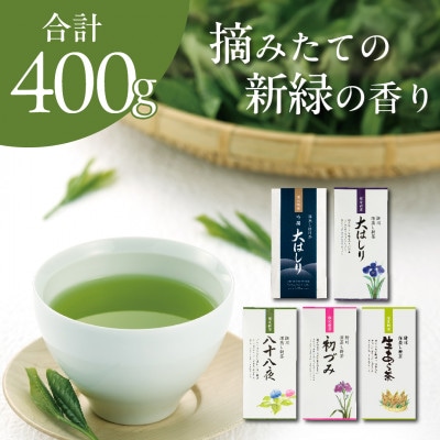 旬の香りを飲み比べ 5種の新茶 満喫セット 合計400g　2026年5月より順次発送【39537】【配送不可地域：離島・沖縄県】【1637484】