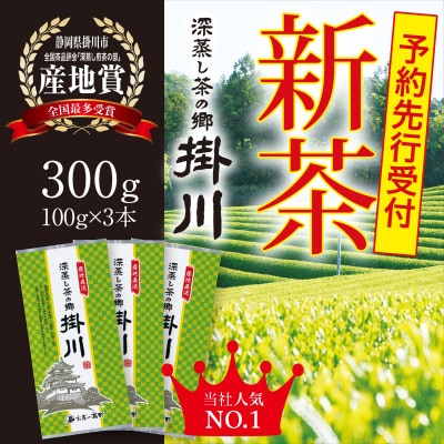 ＜2026年新茶・先行受付＞掛川茶「深蒸し茶の郷 掛川」100g×3本セット　5月上旬発送予定【配送不可地域：離島・沖縄県】【1721738】