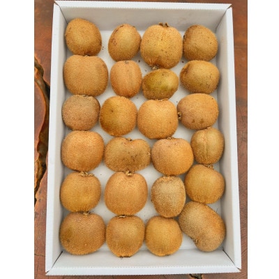 農園直送!訳アリキウイフルーツ2kg〜2.4kg(24個〜30個)【配送不可地域：離島・北海道・沖縄県・四国・九州】【1705165】