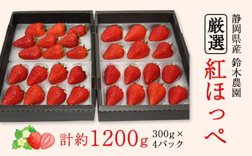 【2026年発送　先行受付】静岡県産いちご「厳選紅ほっぺ」4パック　約1.2kg【配送不可地域：離島・北海道・沖縄県・東北・中国・四国・九州】【1689359】