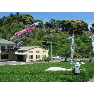 æå·ã®å°ããªè¶èŸ²å®¶çŽé 蟲æ¥éºç£è¶èå Žå®è·µå·¥å Ž æ·±èžãæå·è¶ãããããã 200gÃ2ãé
éäžå¯å°åïŒé¢å³¶ã»æ²çžçãã1674940ã