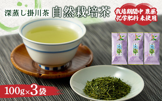 自然栽培茶(化学肥料・農薬未使用)深蒸し掛川茶100g×3袋【配送不可地域：離島・沖縄県】【1091798】