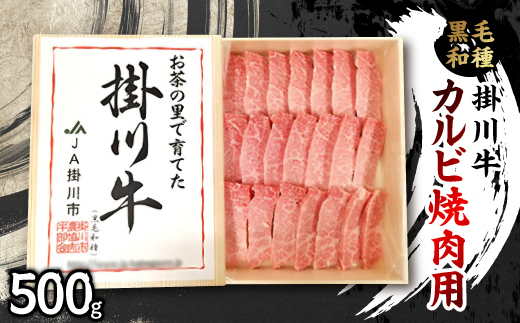 掛川牛(黒毛和種)カルビ焼肉用 500g(冷凍)【配送不可地域：離島・北海道・沖縄県・四国・九州】【1670601】