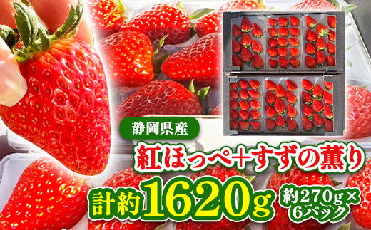 【2026年発送】静岡県産いちご「紅ほっぺ+すずの薫り」6パック 約1.6kg(約270g×6)【配送不可地域：離島・北海道・沖縄県・東北・中国・四国・九州】【1127879】