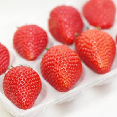 縲千匱騾∵怦蝗コ螳壼ョ壽悄萓ソ縲鷹撕蟯。逵檎肇縺縺。縺斐蜴ウ驕ク縲檎エ縺サ縺」縺コ縲4繝代ャ繧ッ繧サ繝繝(邏1.2kg)蜈ィ3蝗槭宣埼∽ク榊庄蝨ー蝓滂シ夐屬蟲カ繝サ蛹玲オキ驕薙サ豐也ク逵後サ譚ア蛹励サ荳ュ蝗ス繝サ蝗帛嵜繝サ荵晏キ槭代4079587縲