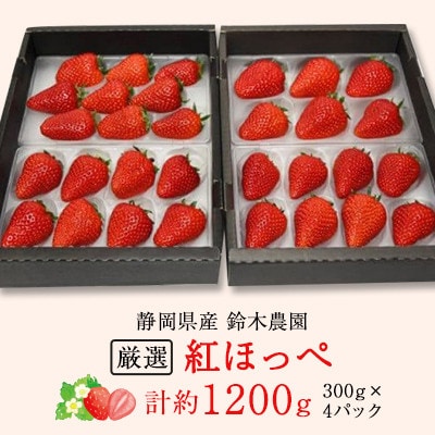 【発送月固定定期便】静岡県産いちご　厳選「紅ほっぺ」4パックセット(約1.2kg)全3回【配送不可地域：離島・北海道・沖縄県・東北・中国・四国・九州】【4079587】