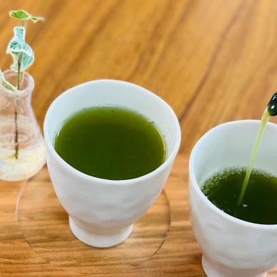 【5月下旬より順次発送】新茶　深蒸し掛川茶　旬の香り・味をお届けします。100g10本　合計1kg【配送不可地域：離島・沖縄県】【1340678】