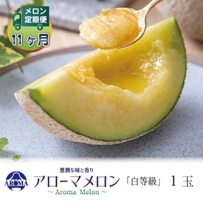 【毎月定期便】アローマメロン(白等級) 1玉　全11回【配送不可地域：離島・北海道・沖縄県】【4071977】