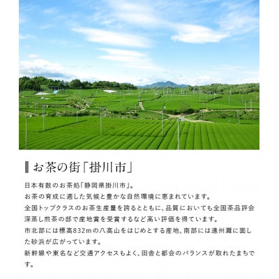 金印一番茶 3袋 合計540g　深蒸し掛川茶ブレンド 日本茶きみくら【5892】【配送不可地域：離島・沖縄県】【1678064】