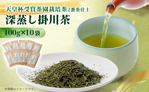 天皇杯受賞茶園栽培茶2番茶仕上　深蒸し掛川茶100g×10袋【配送不可地域：離島・沖縄県】【1303841】