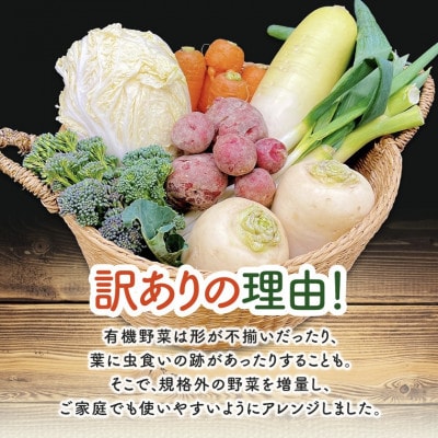 【毎月定期便】しあわせ野菜畑のシェフS セット　(訳あり規格外の有機野菜を一部使用)全12回【配送不可地域：離島・北海道・沖縄県・四国・九州】【4066012】