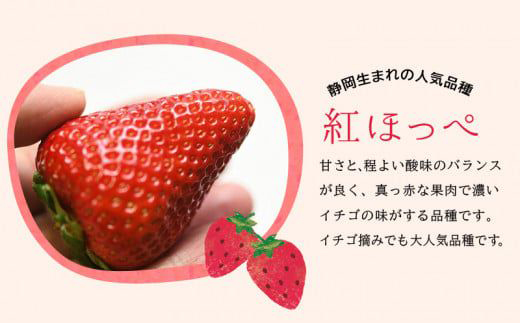 縲2027蟷エ逋コ騾√蜈郁。悟女莉倥鷹撕蟯。逵檎肇縺縺。縺斐悟宍驕ク邏縺サ縺」縺コ縲4繝代ャ繧ッ縲邏1.2kg縲宣埼∽ク榊庄蝨ー蝓滂シ夐屬蟲カ繝サ蛹玲オキ驕薙サ豐也ク逵後サ譚ア蛹励サ荳ュ蝗ス繝サ蝗帛嵜繝サ荵晏キ槭代1689359縲