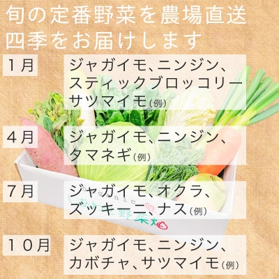 有機野菜でカレーを作ろう　カレーに使える有機野菜を3〜4種類　定番野菜だからなんにでも使えます。【配送不可地域：離島・北海道・沖縄県・四国・九州】【1568592】