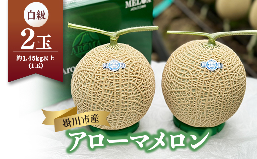 静岡暗室マスクメロン アローマ印　　　　　白級約1.45kg以上　2玉【配送不可地域：離島・北海道・沖縄県】【1502264】